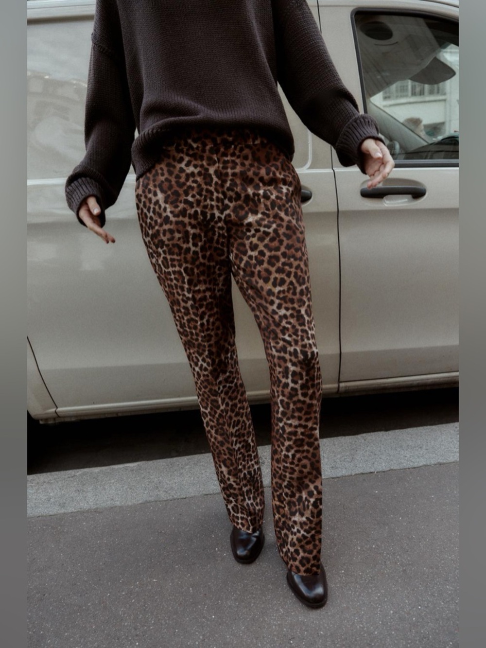 Zara Leopard Print Wide-Leg Pants - Brown